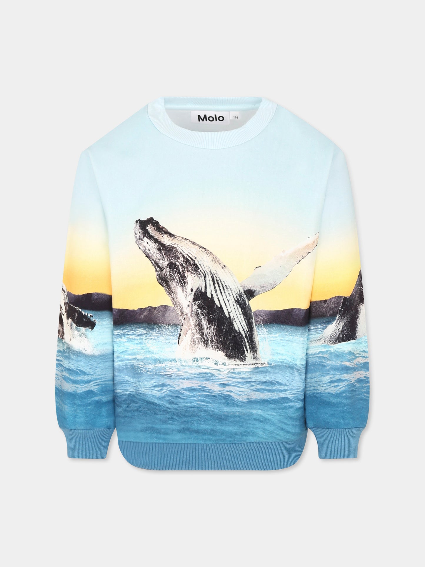 Felpa Miksi celeste per bambino con balena,Molo,1S25J205 3870