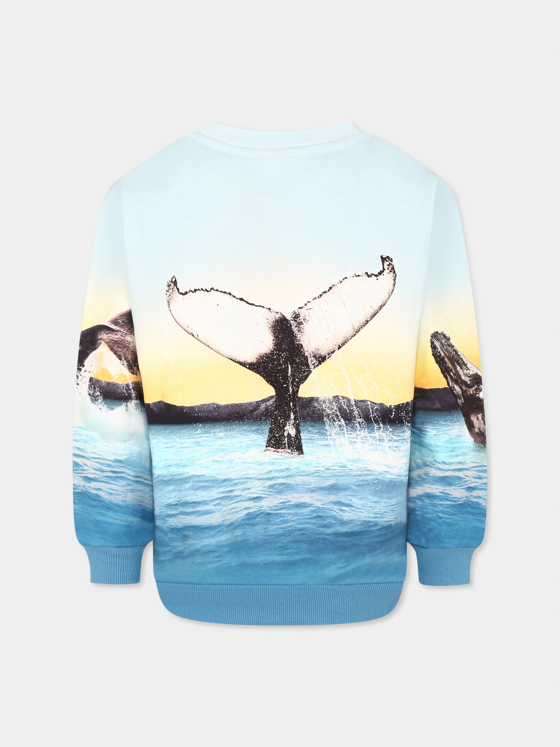 Felpa Miksi celeste per bambino con balena,Molo,1S25J205 3870
