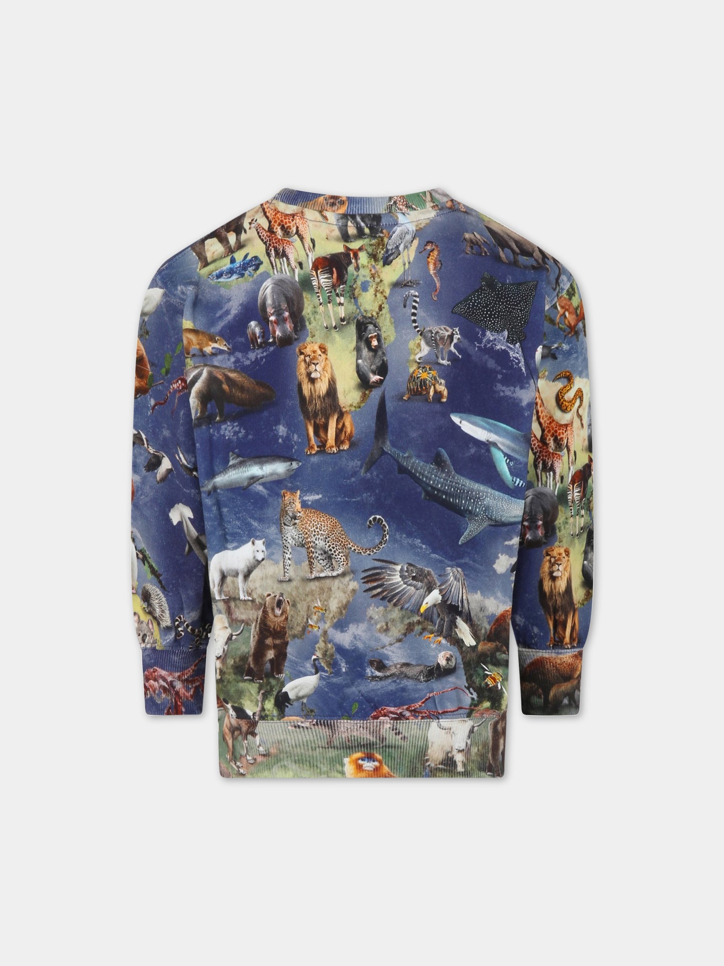 Felpa blu per bambino con animali all-over, scritta e logo,Molo,6S23J203 6766